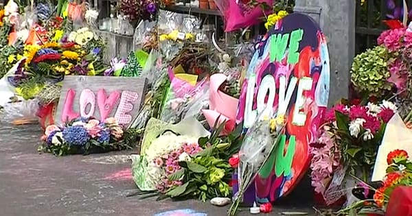 Christchurch mosque terrorist's appeal costs nearly $500k so far