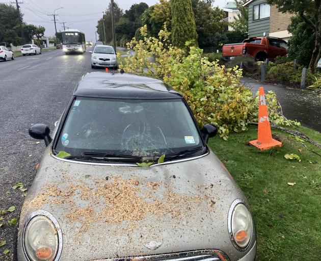 A mini had it’s windscreen broken and roof damaged after a tree fell on it in Balmacewen Road at...
