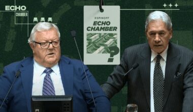Echo Chamber: NZ First takes jabs at Gerry Brownlee