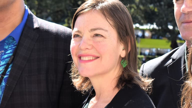 Julie Anne Genter at Parliament on October 18, 2023 (file image). 