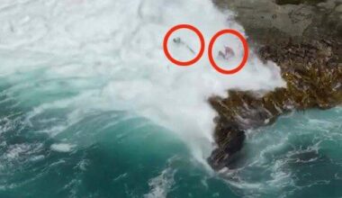 Two flown to hospital after winds, swells capsize race rafters