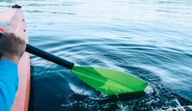 Body found in search for kayaker missing near Auckland's Waiwera