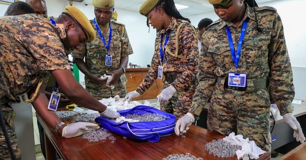 Pair charged after being found with thousands of ants in Kenya