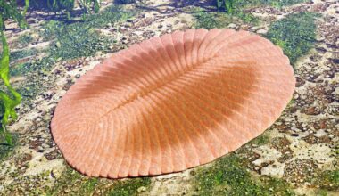 Earth’s first mass extinction may have been far worse than believed