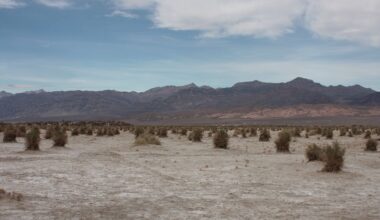 Landscape of Death Valley deserted land