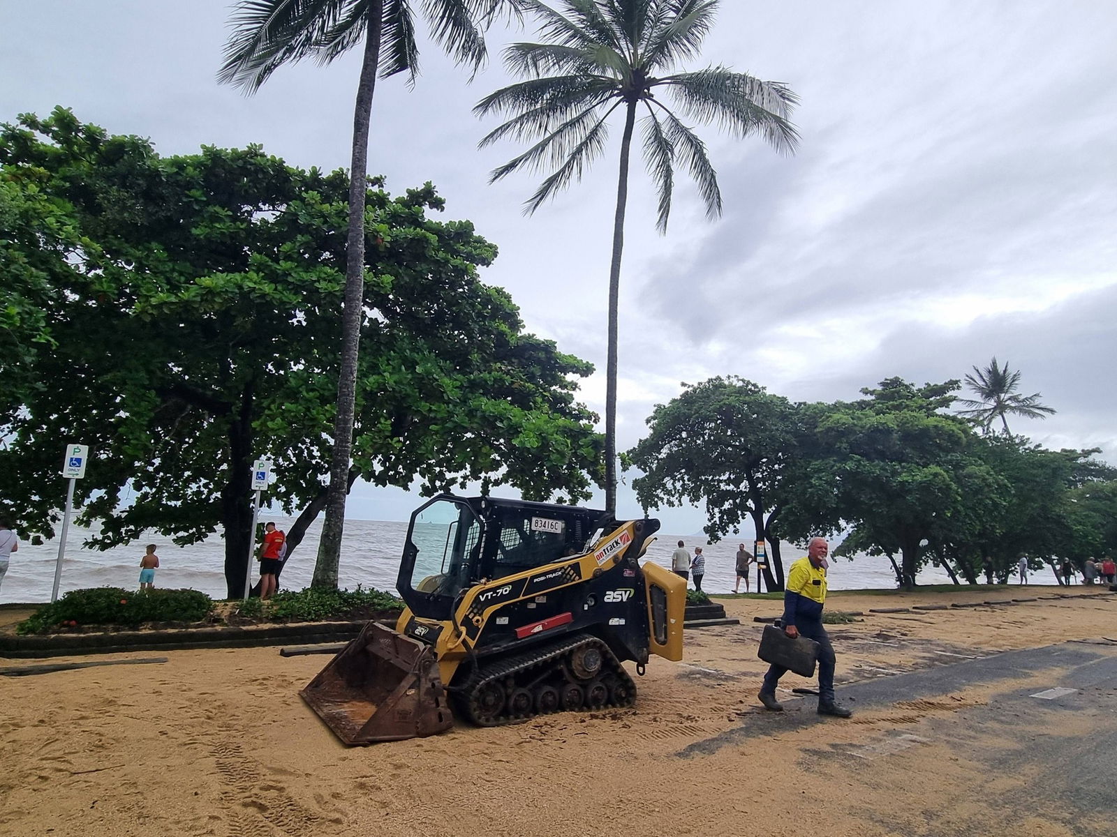 a bobcat waiting by the shore to clean up after cyclone narelle