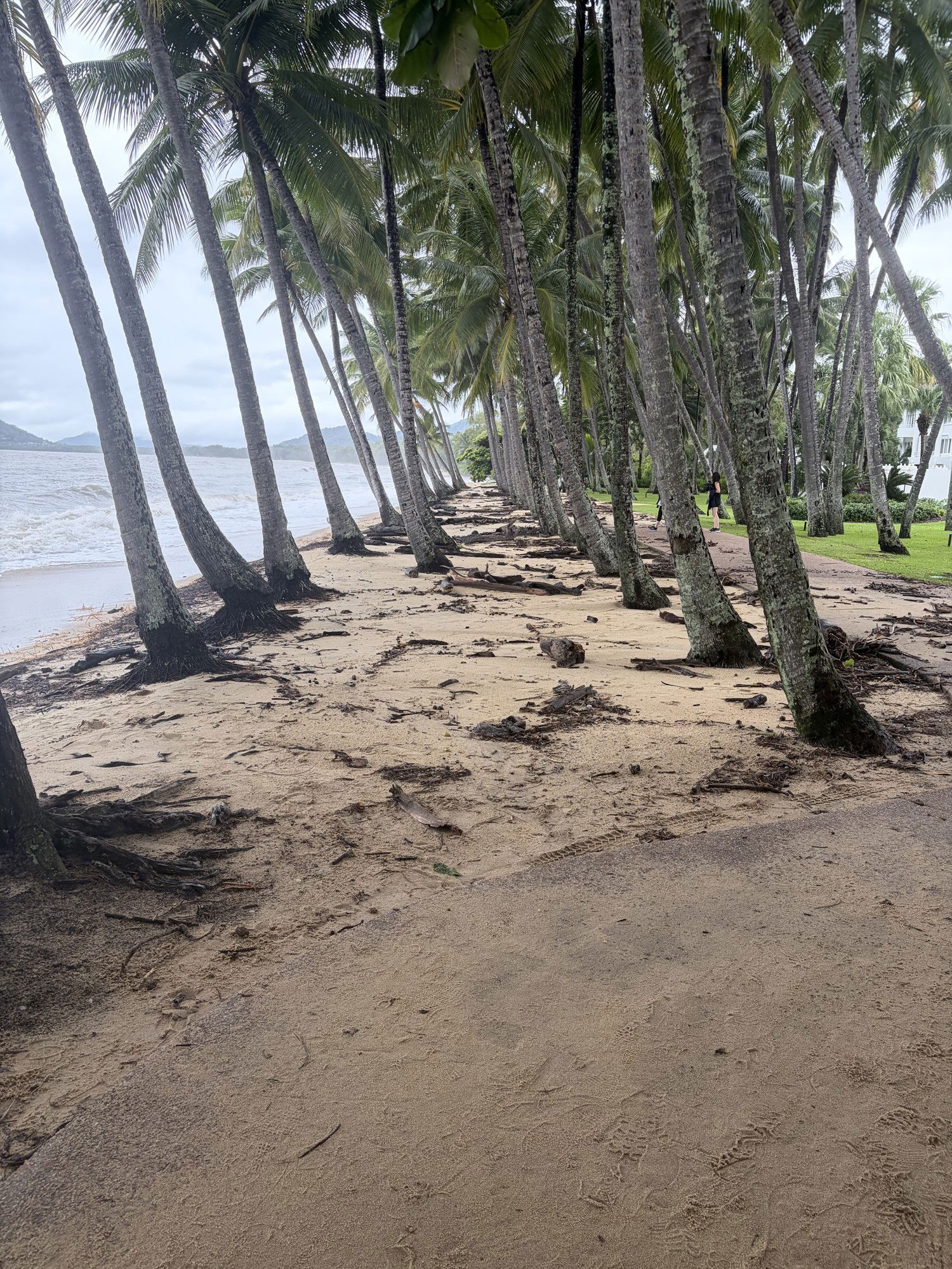 Coastal erosion on a cairns beach