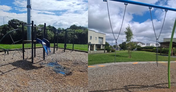 Auckland's million dollar bill for graffiti, vandalism at parks