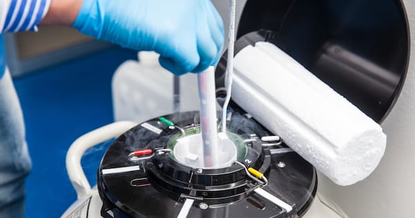 'Anxiety and concern' as Auckland fertility clinic loses patient's embryos