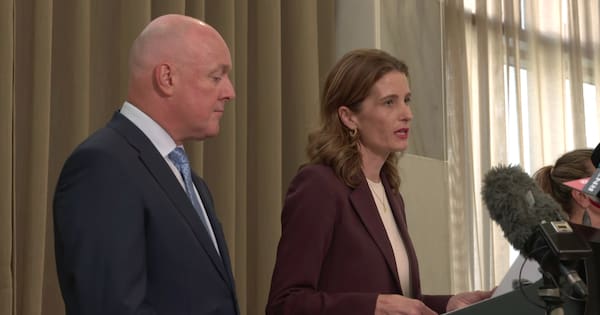 Live: Government to announce details of fuel support package - 1News