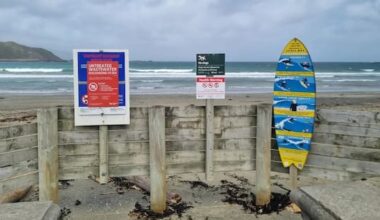 Disaster at Moa Point exposes deep-seated issues, health experts warn