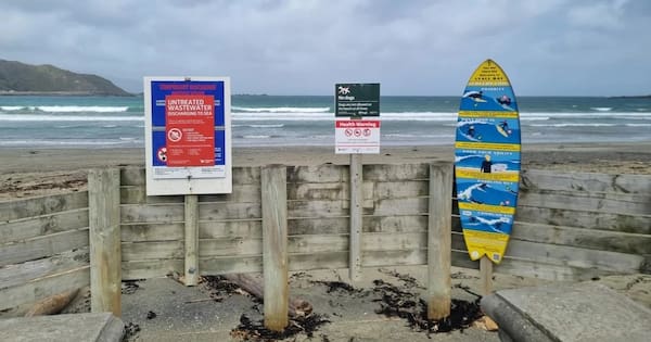 Disaster at Moa Point exposes deep-seated issues, health experts warn