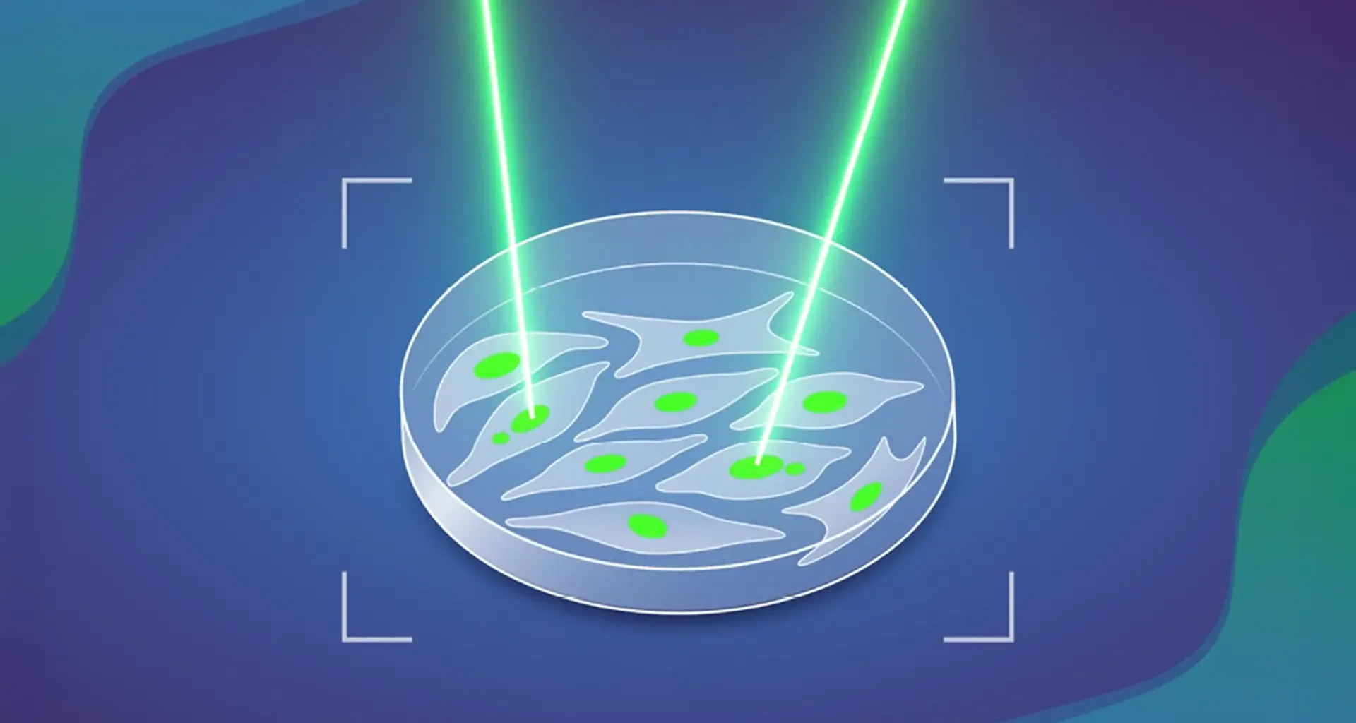 AI finally tests a century old theory about how cancer begins