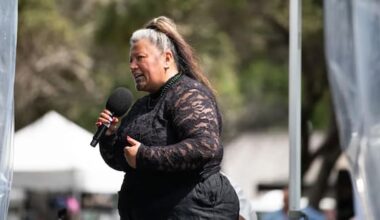 Judge says Mariameno Kapa-Kingi’s expulsion from Te Pāti Māori unlawful