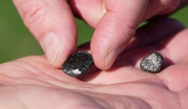 Meteorite hunters descend on Ohio in search of space rock fragments