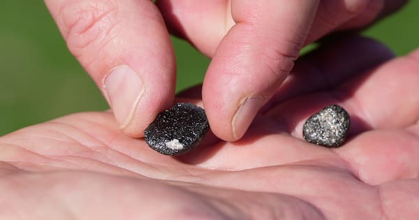 Meteorite hunters descend on Ohio in search of space rock fragments