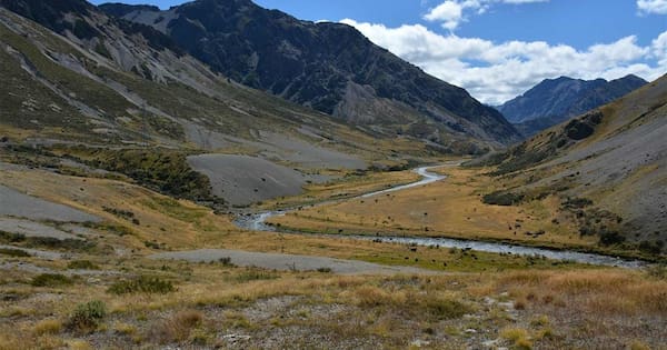 Five applicants seek to operate NZ's largest farm