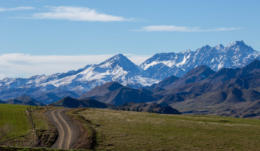 The five groups vying to take over Molesworth Station