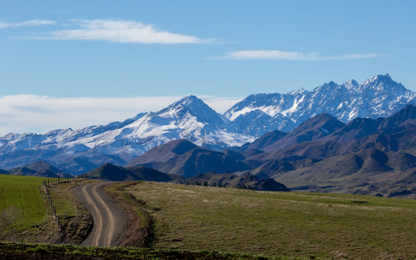 The five groups vying to take over Molesworth Station