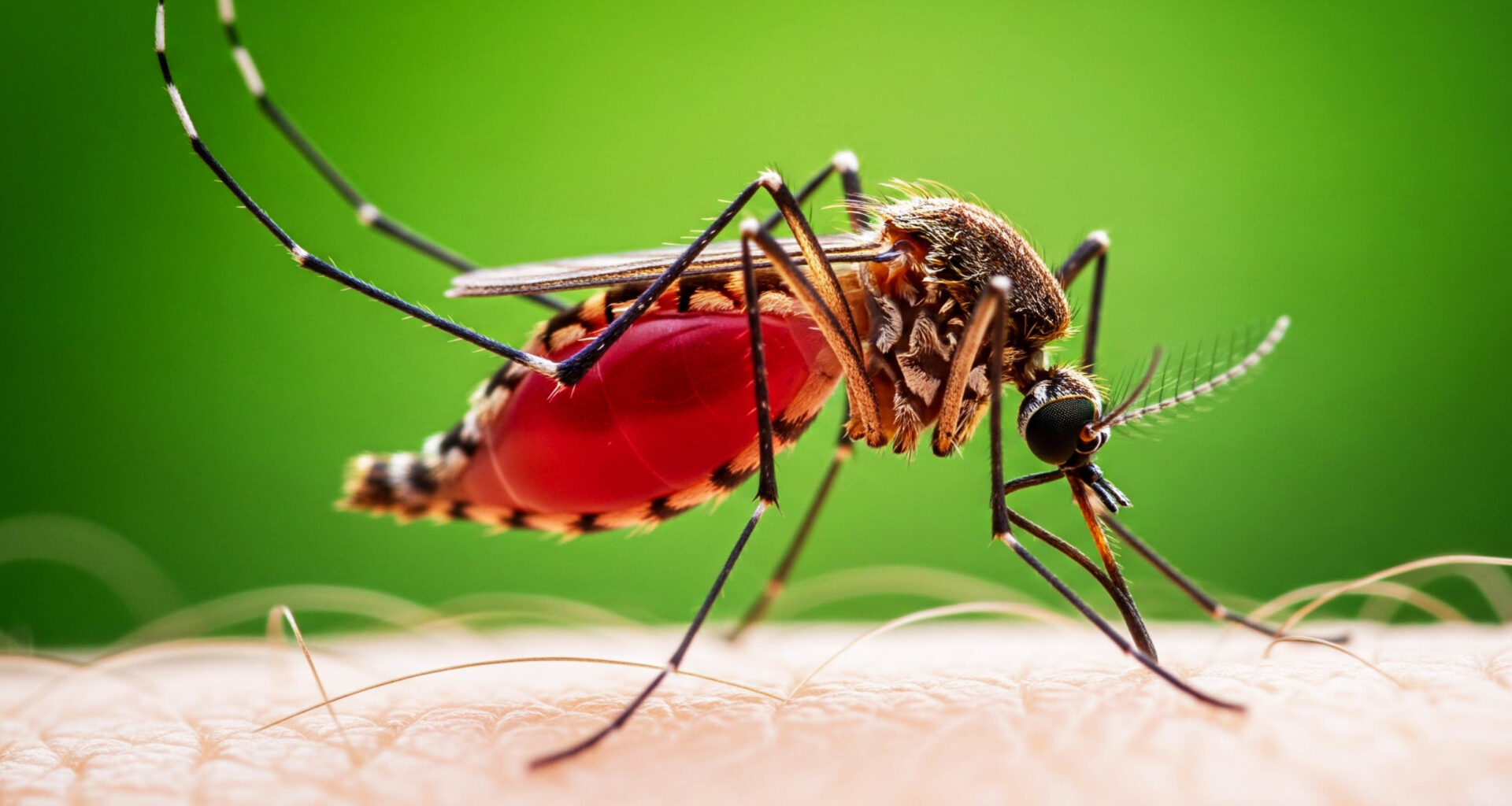 Surprising discovery identifies a new way to reduce mosquito biting