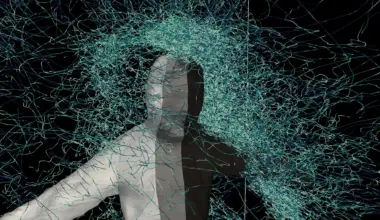 Why mosquitoes always find you and how they decide to attack