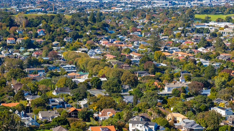 Houses in Auckland (file image).