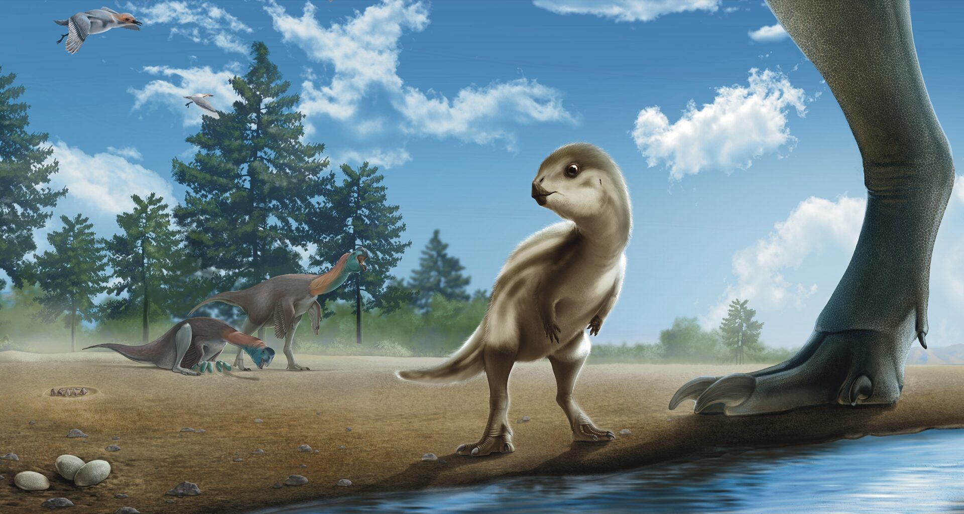 An artists reconstruction of the new dinosaur stood on a mudflat next to the leg of a towering theropod.