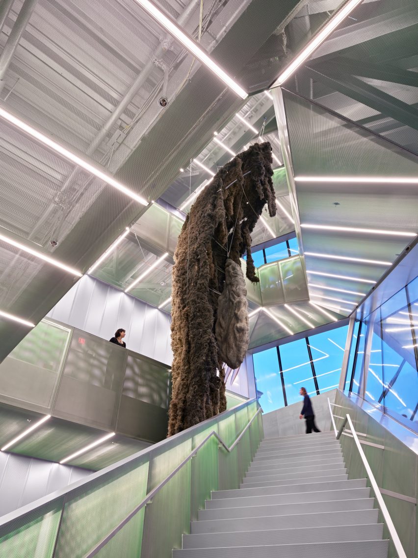 New Museum extension