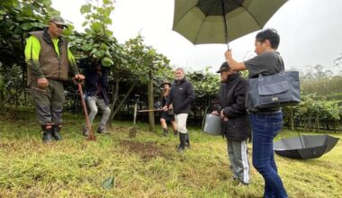 Northland kiwifruit karakia for start of $5 billion harvest