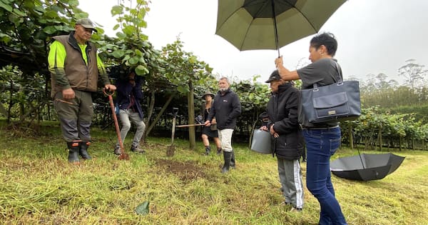Northland kiwifruit karakia for start of $5 billion harvest