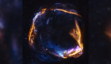 New portrait of the oldest-known supernova photo of the day for March 27, 2026