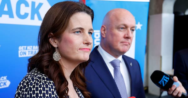 Luxon and Willis outline fuel support package