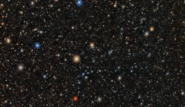 This image shows stars in Pictor II, an ultra-faint dwarf galaxy. It's an ancient galaxy, more than 10 billion years old. One of the stars is named PicII-503, and it's a Population II star, known for their low metallicities. Astronomers have been searching for these ancient stars because they hold clues to the evolution of the Universe. Image Credit: CTIO/NOIRLab/DOE/NSF/AURA