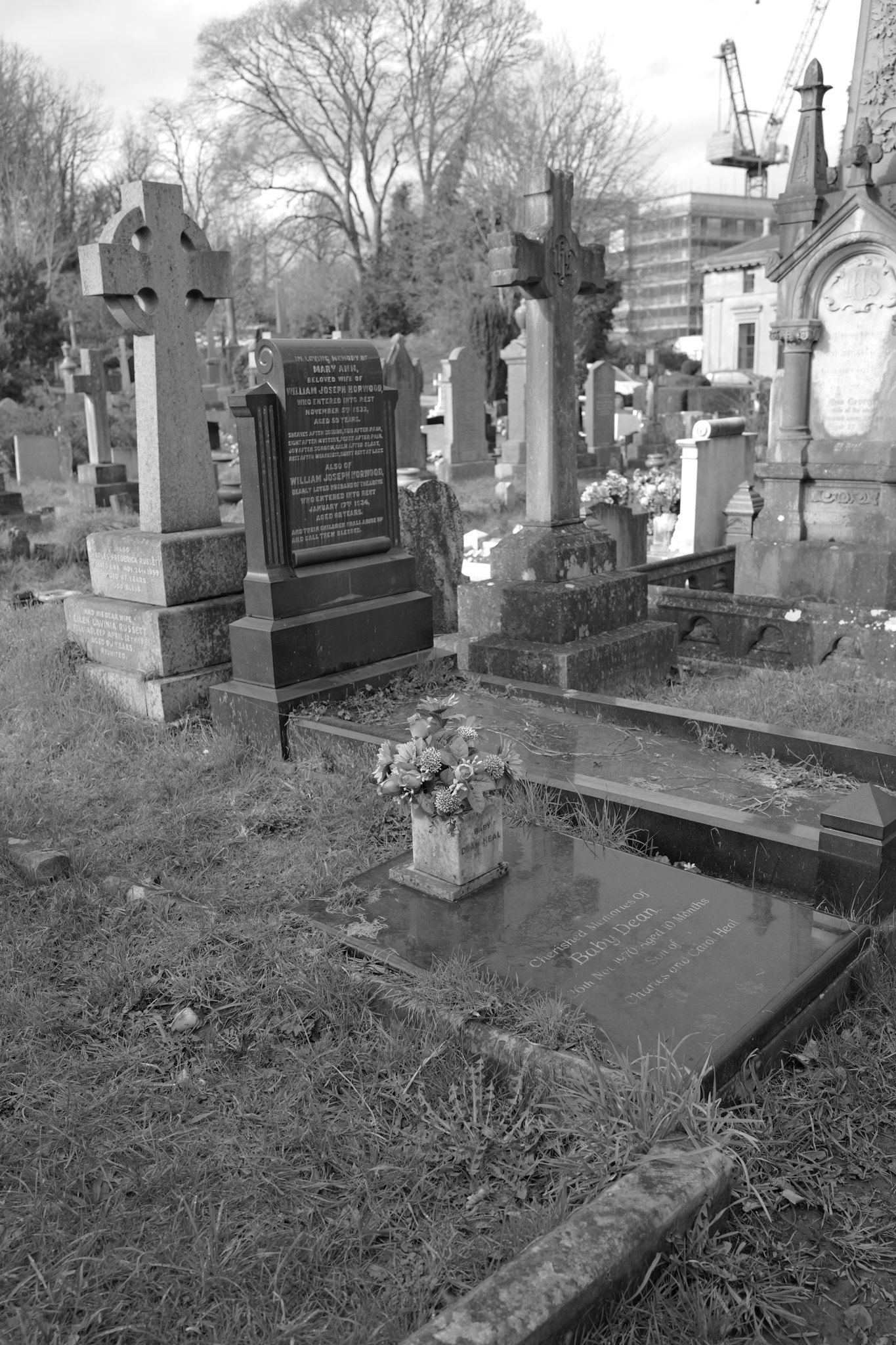 Leica Q3 Monochrom and Google Pixel 10 Pro XL comparison