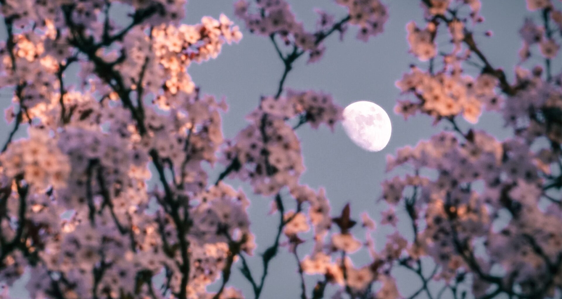 The stargazing gear you need for April 2026