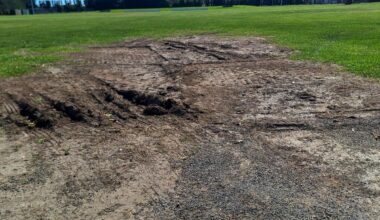 Work under way at Canterbury domain to repair concert damage