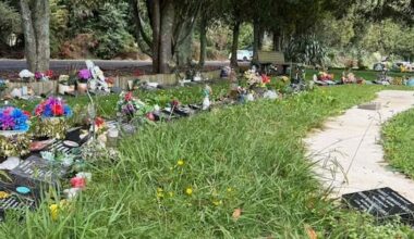 Cemetery 'mess' disappoints bereaved mum