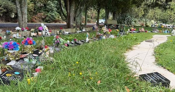 Cemetery 'mess' disappoints bereaved mum