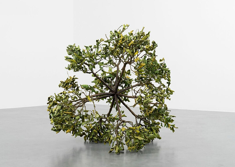 paola pivi imagines a living cosmos grown from lemon trees at perrotin paris exhibition - 4