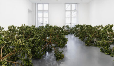 paola pivi imagines a cosmos from lemon trees at perrotin paris