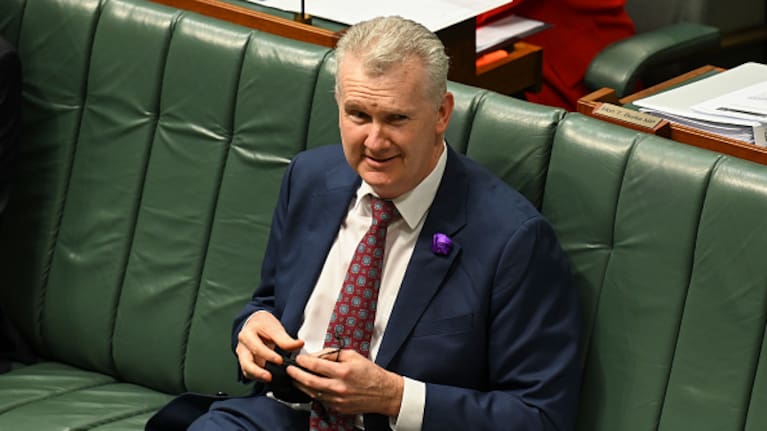 Australian Home Affairs Minister Tony Burke.