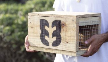 Media release 25 March 2026