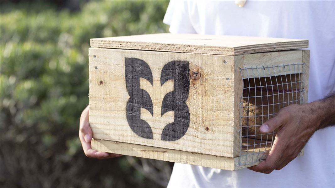 Media release 25 March 2026