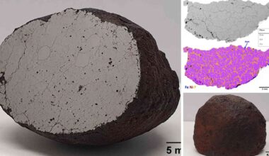 Space rock found in 2017 turns out to be incredibly rare