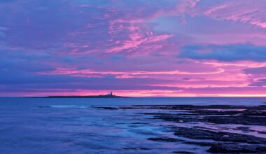 A rocky shoreline at dusk with dramatic pink and purple clouds in the sky. A small island with a lighthouse sits on the horizon, surrounded by calm ocean water reflecting the colorful sunset.
