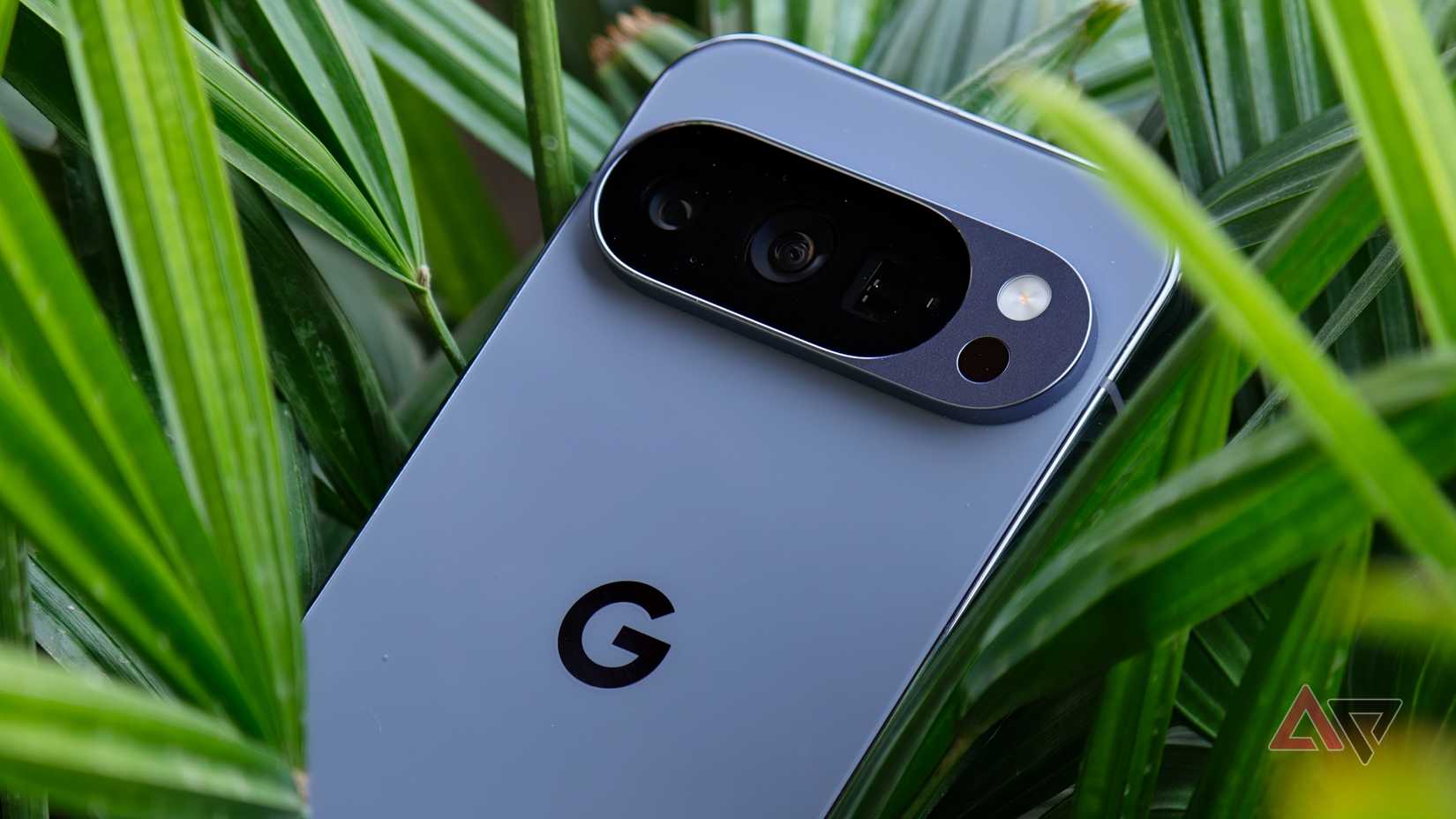 Pixel 10 Pro resting on a green plant