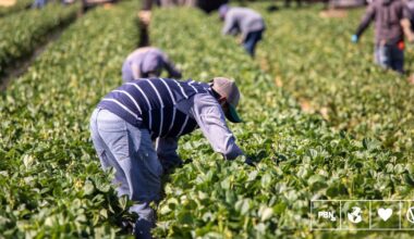 Global Shift To Plant-Based Diets Could Revolutionize Farming And Reduce Labor