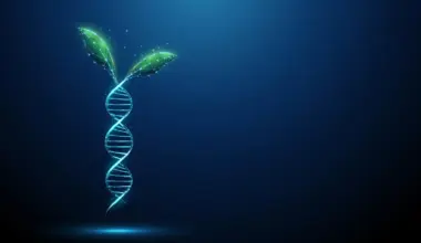 Scientists discover ancient DNA “switches” hidden in plants for 400 million years
