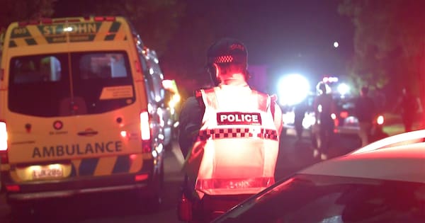 Neighbours describe 'disorder event' overnight in Mt Albert