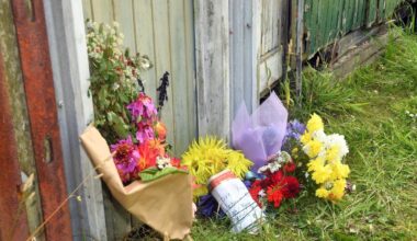 Man charged over fatal Port Chalmers crash pleads not guilty